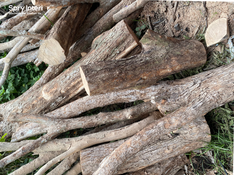 What Is The Best Wood For A Bookshelf?