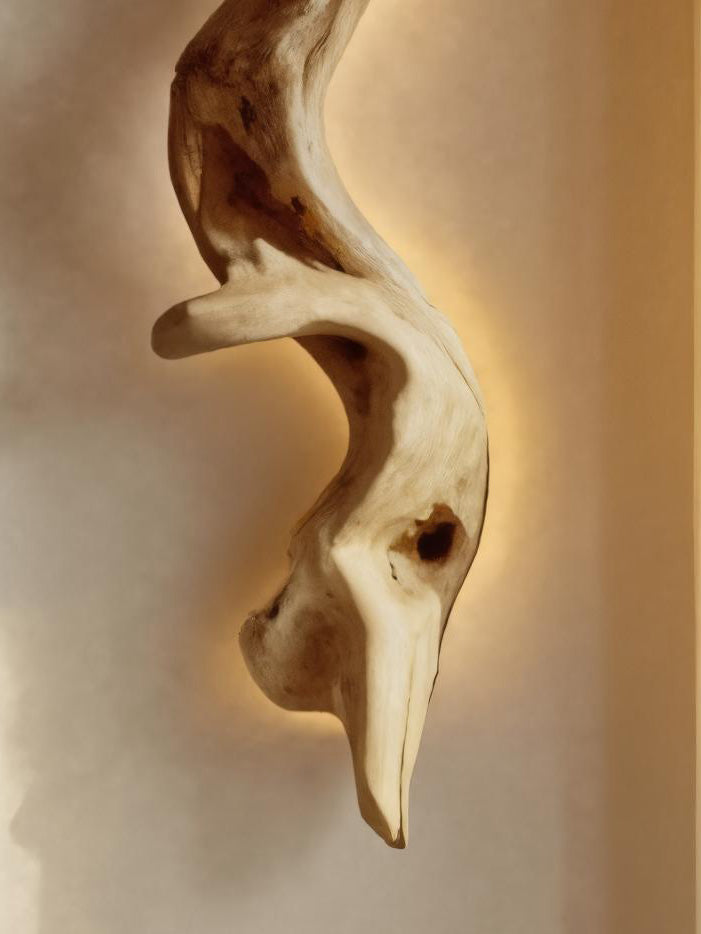 Rustic Organic Wall Lamp Sculpture For Living Room SITHHNLAM016