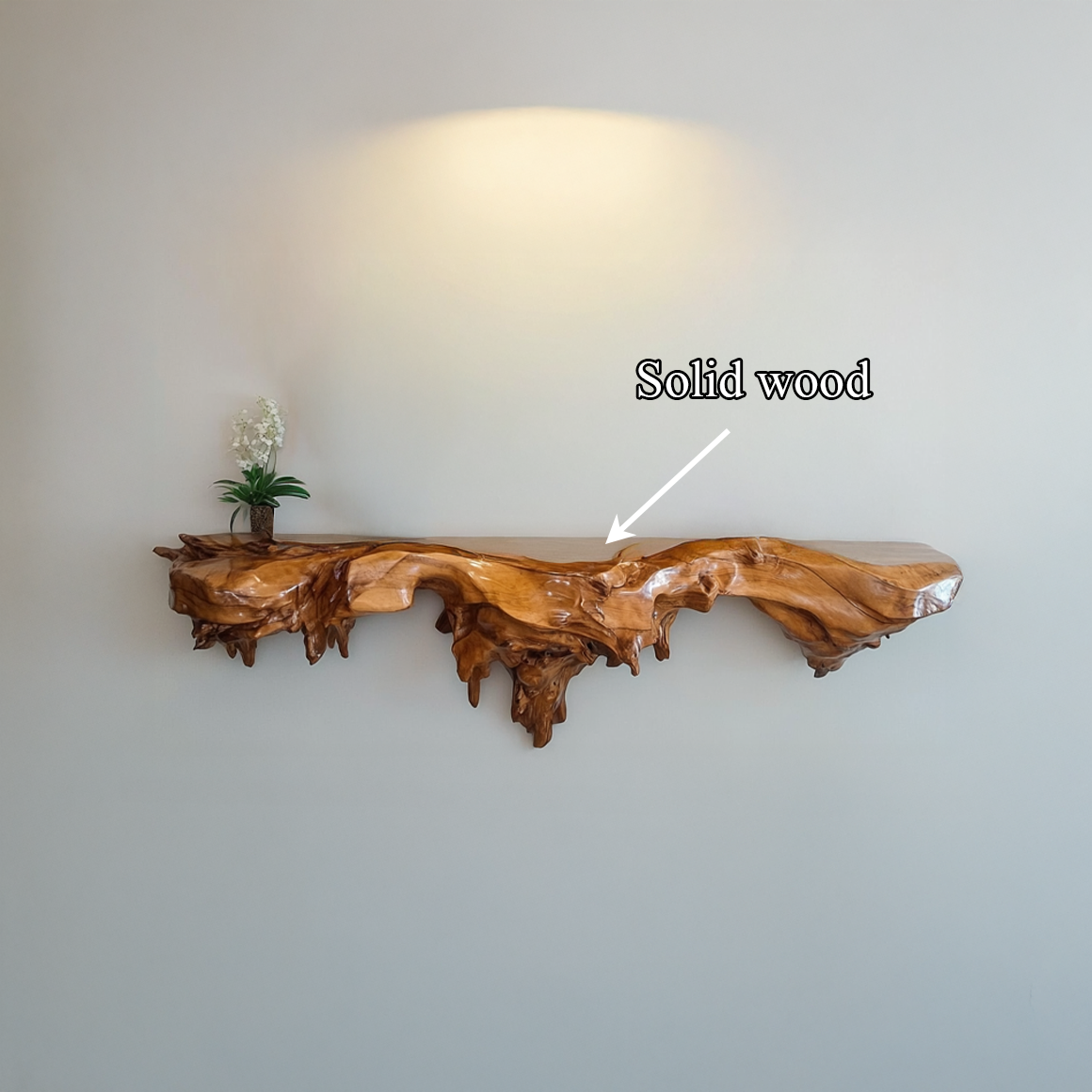 Organic Statement Wall Shelf For Living Room And Entryway SINLSAFL327