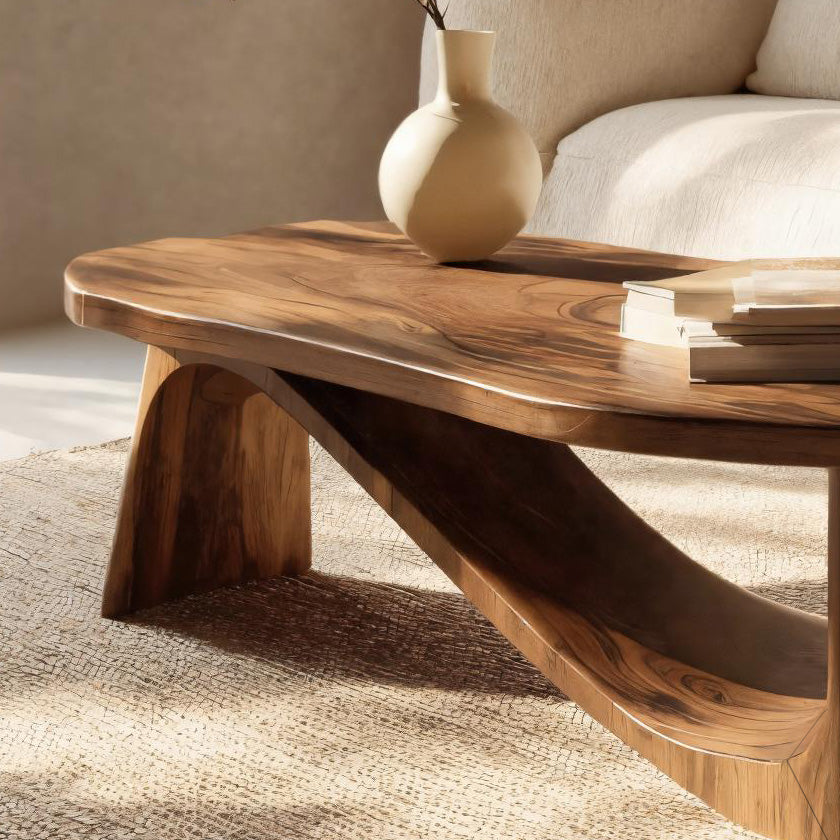 Contemporary Coffee Table Storage Design For Living Room RTTHHNCF048