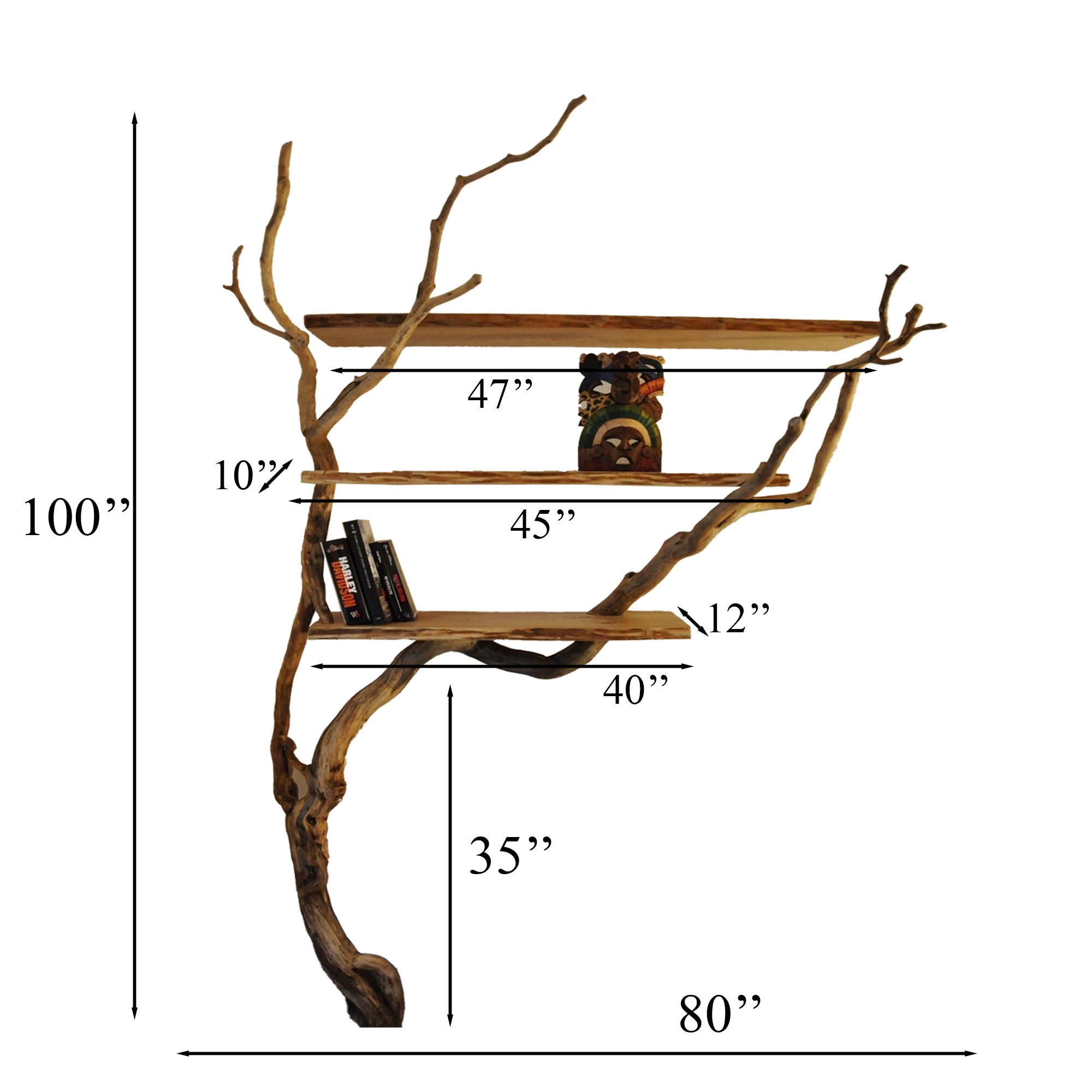 Natural Wild Mulberry Wall Tree Branch Bookshelf Montessori Bookshelf SINLTB030