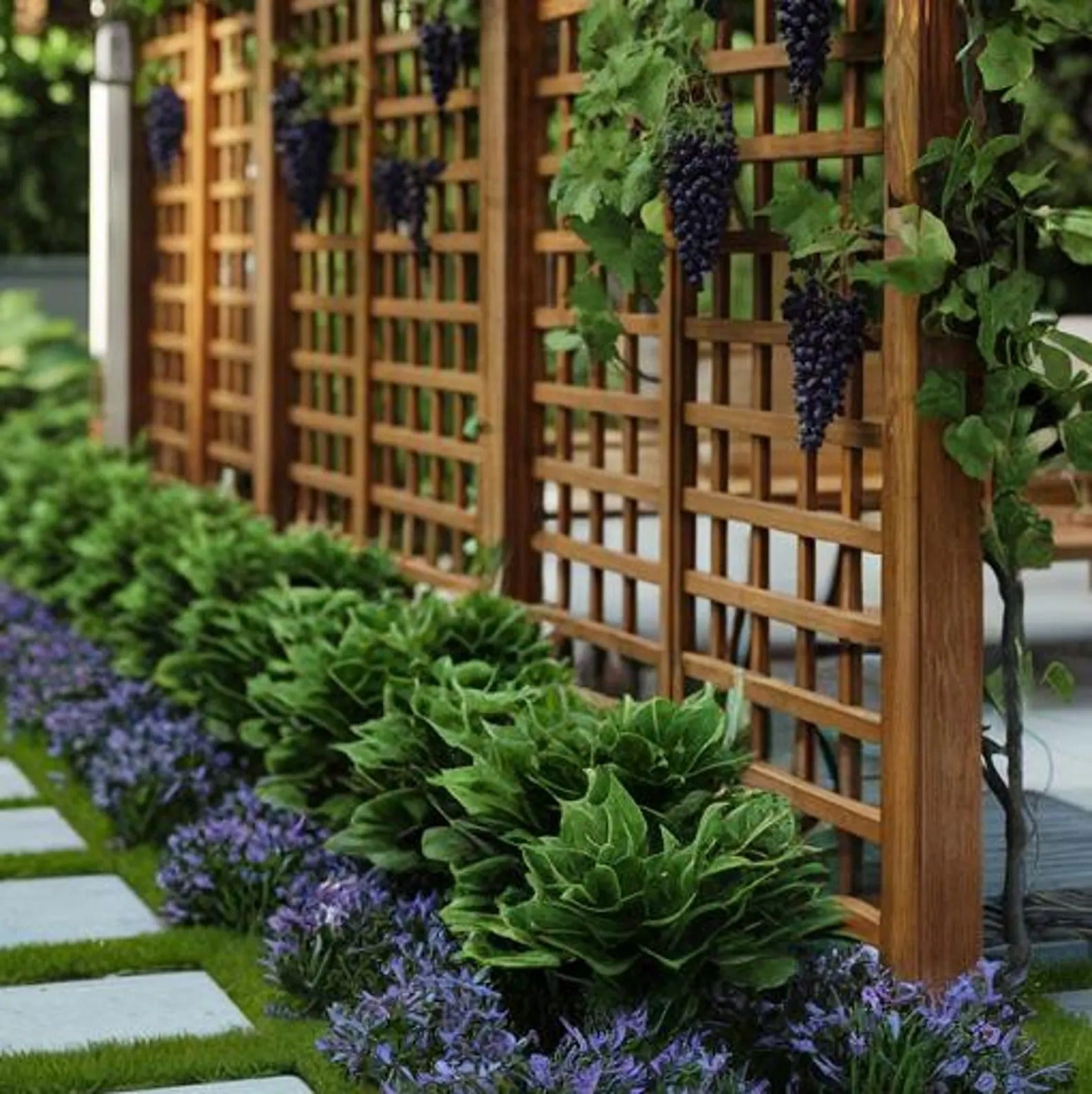 Modern Pergola Wall Divider For Garden Privacy and Climbing Vines SITHPER005