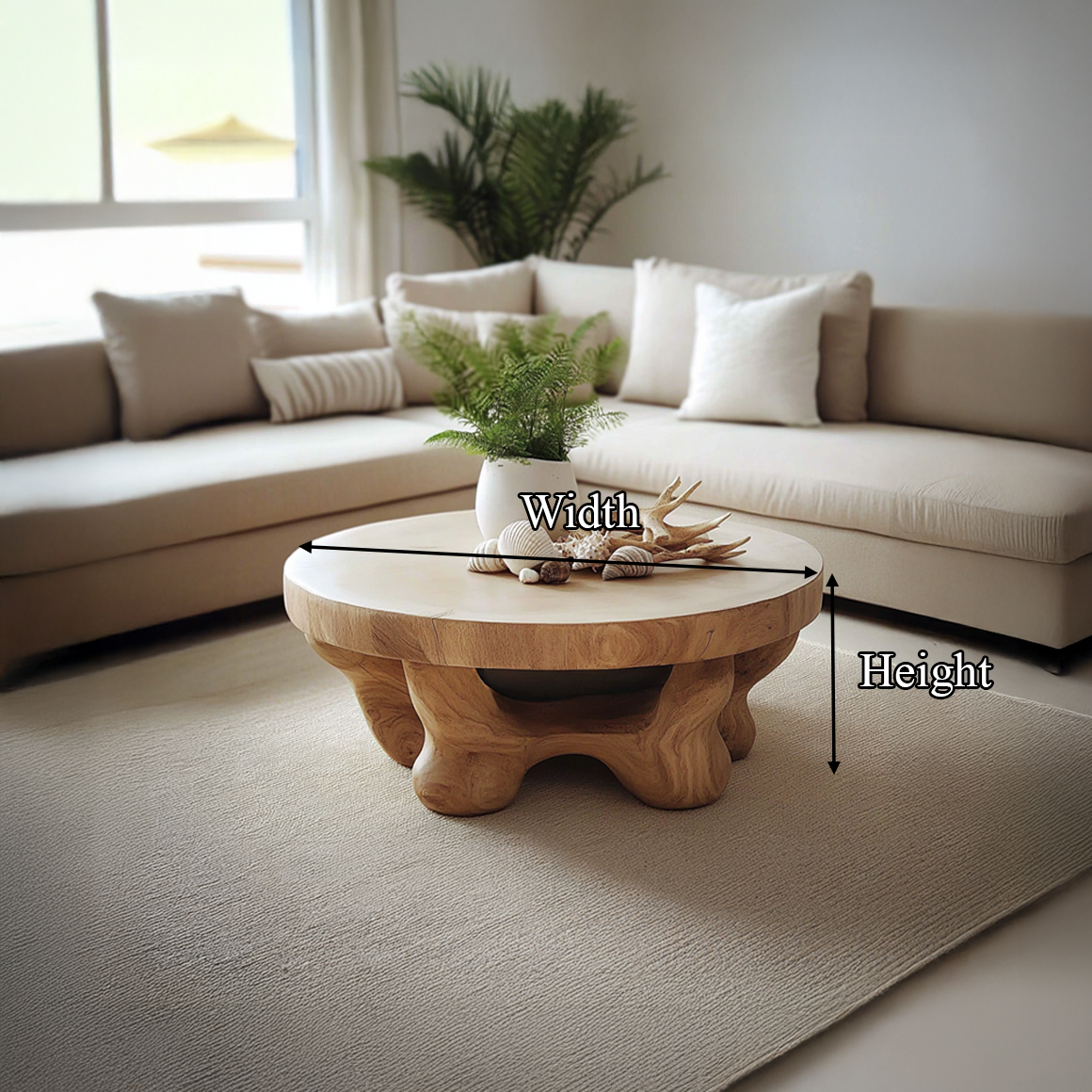 Mid Century Modern Coffee Table Family Room SINLSACF153