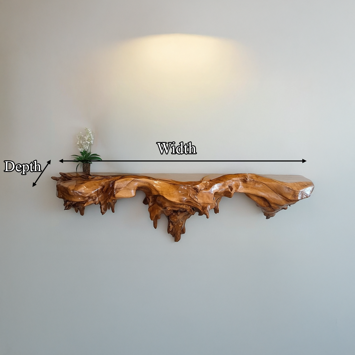 Organic Statement Wall Shelf For Living Room And Entryway SINLSAFL327
