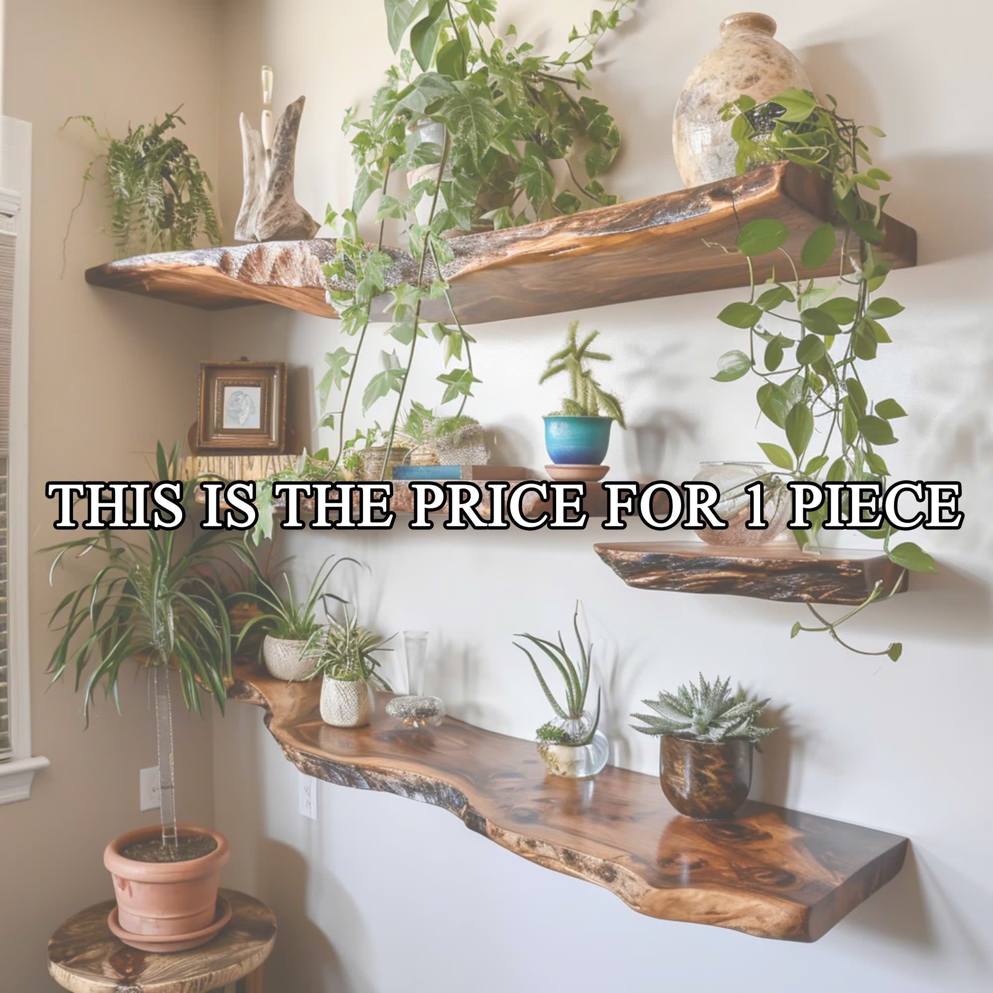 Floating Shelves Wood Wall Mounted Shelf SINLFL011
