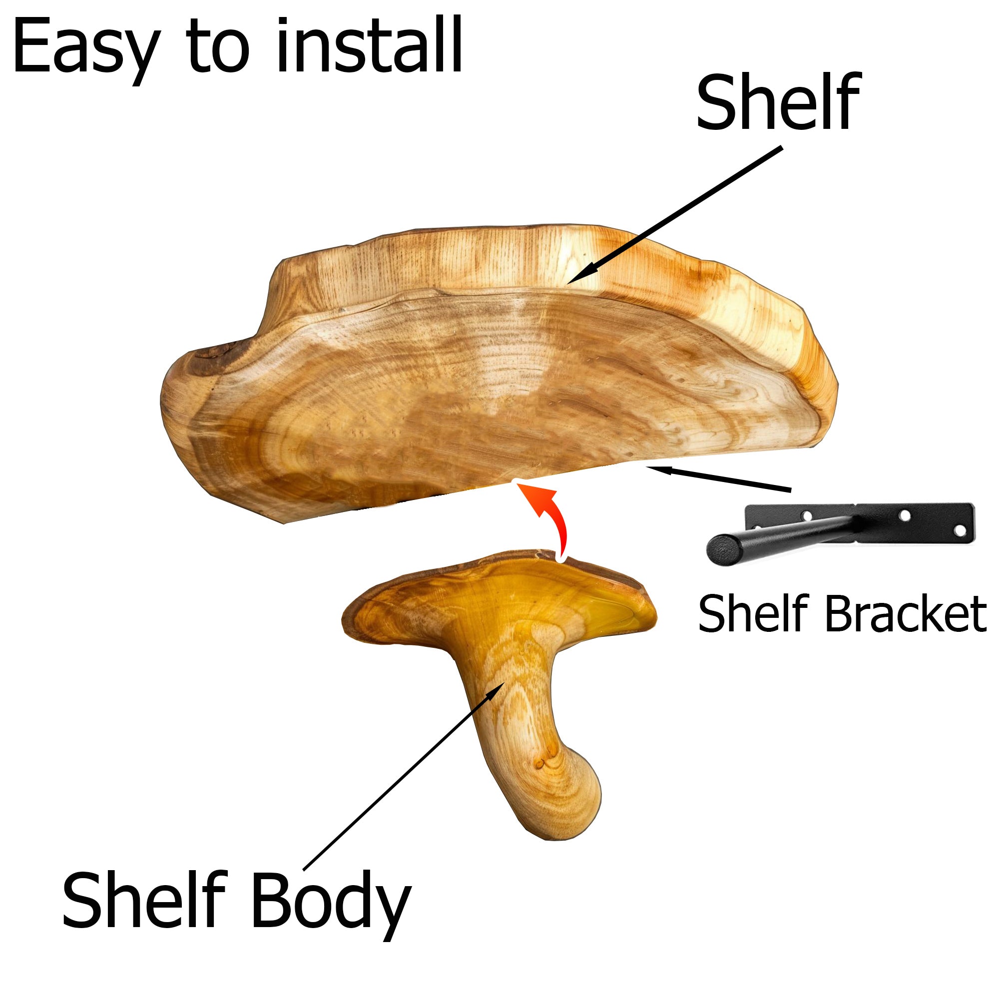 Living Edge Mushroom Floating Shelves SILDTMR004