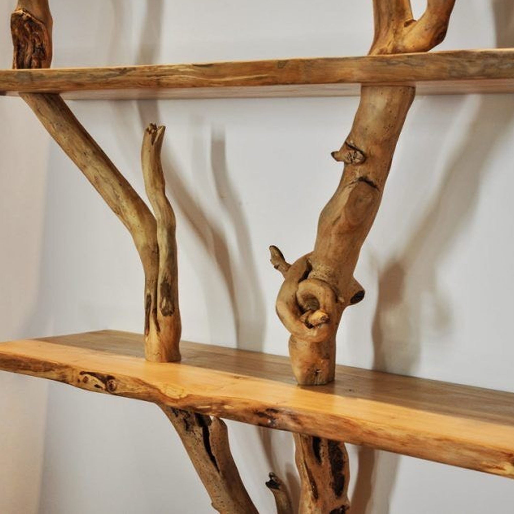 Elegant Wild Mulberry Tree Bookshelf Floating Shelves Live Edge SINLTB033