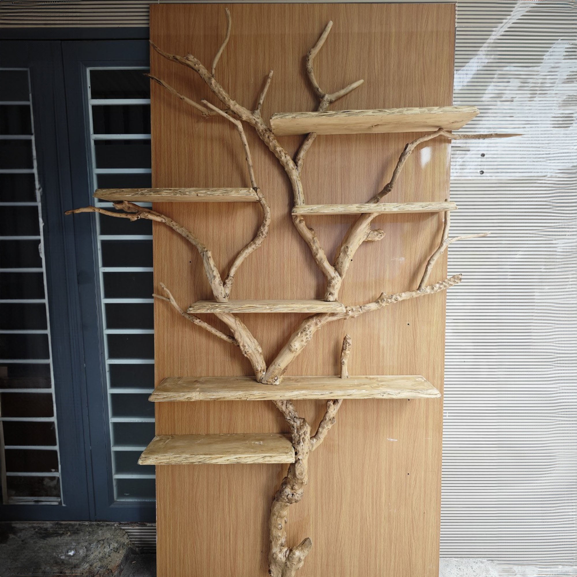 Elegant Wild Mulberry Tree Bookshelf Floating Shelves Live Edge SINLTB033
