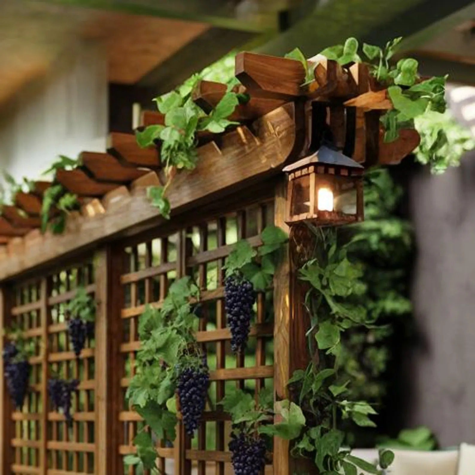 Modern Pergola Wall Divider For Garden Privacy and Climbing Vines SITHPER005