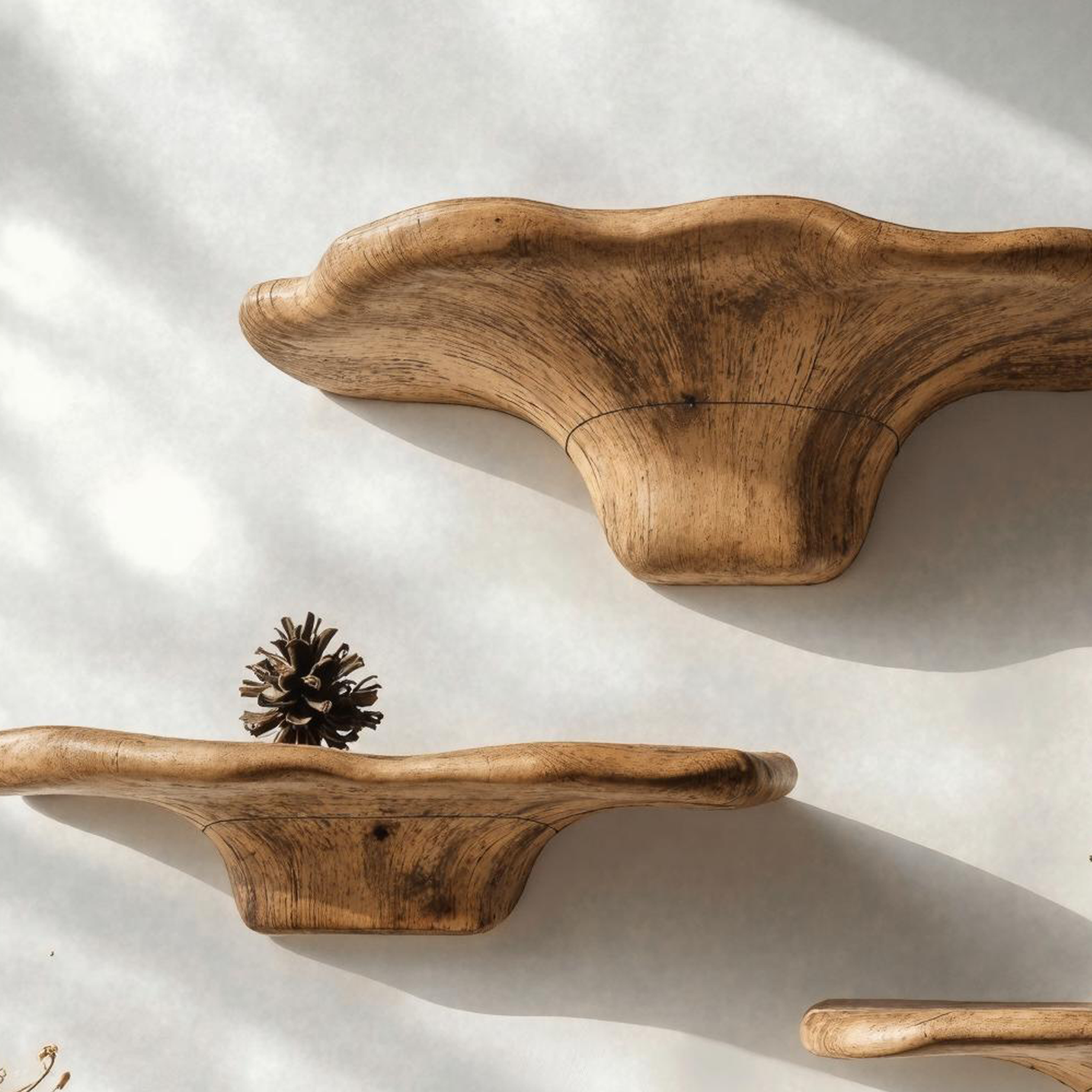 Rustic Floating Wood Mushroom Shelf For Modern Homes SILDTMR009